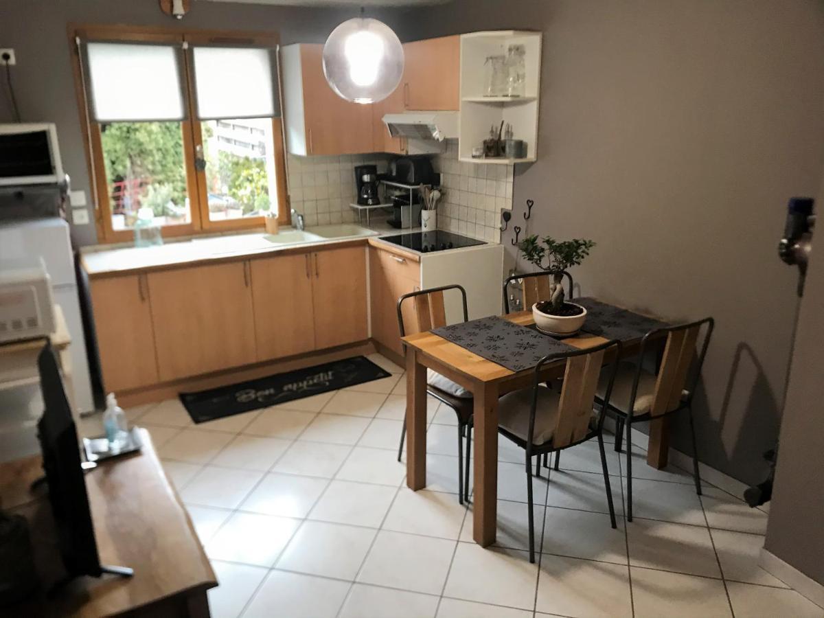 Charmant Appartement 2-4 Personnes Entre Annecy Et Aravis โธนส์ ภายนอก รูปภาพ